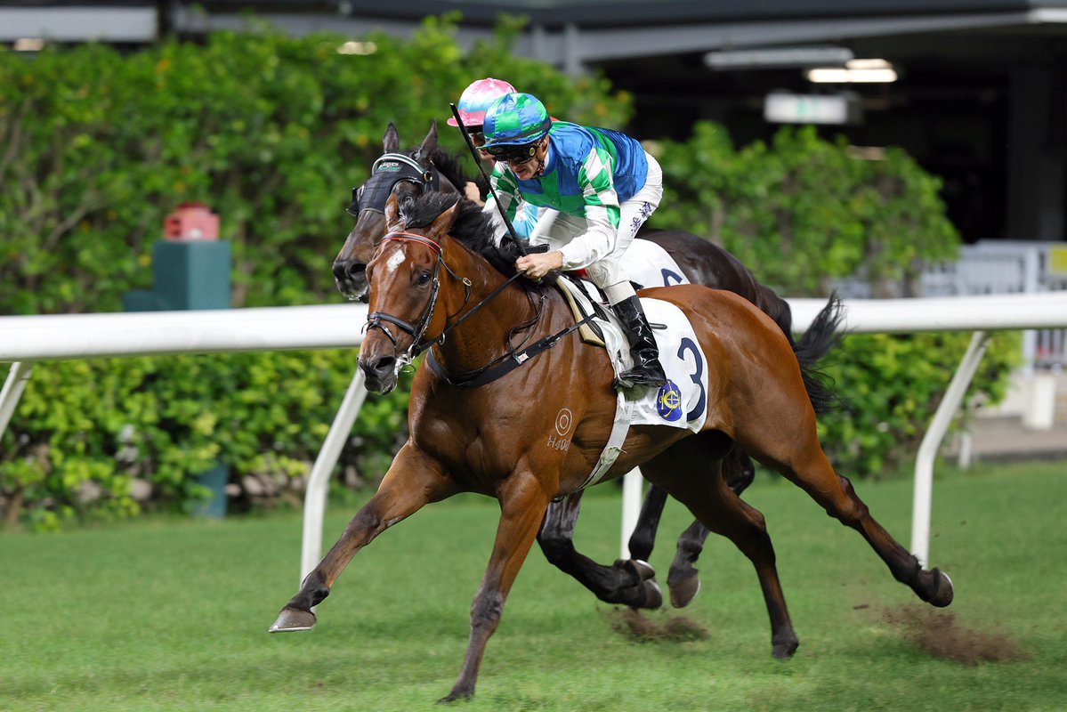 Copartner Prance, qui dispute la R2C6 dimanche, pourrait courir à nouveau le dimanche suivant dans le Gr1 des sprinters.