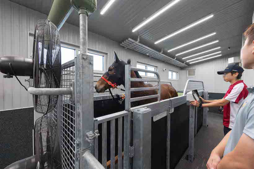 Un nouveau tapis roulant pour compléter la panoplie des outils dont jouissent les entraîneurs à Sha Tin.