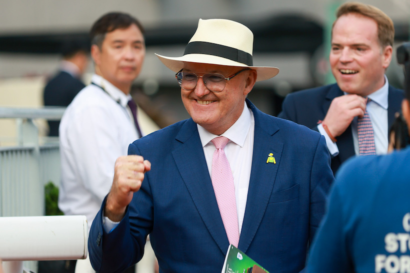 David Hayes règne sur le sprint de Hongkong. David Hayes règne sur le sprint de Hongkong.