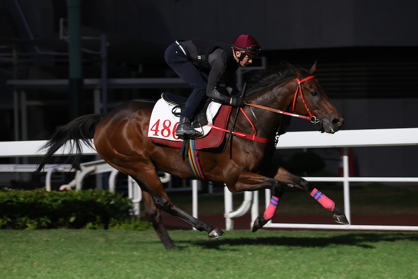 Romantic Warrior prépare sa rentrée après près de neuf mois d'absence.
