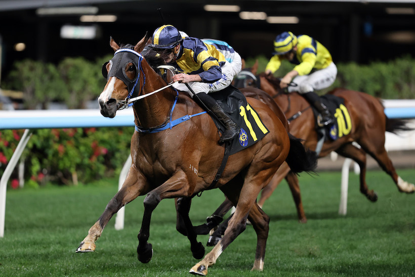 Le réveil du pur-sang natif de France Verbier était très attendu.