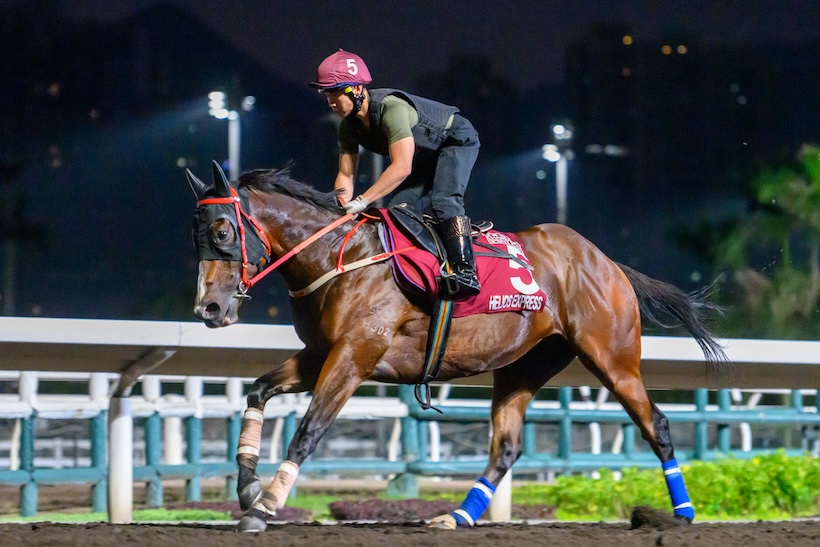 Helios Express, Poulidor du sprint de Hong Kong.