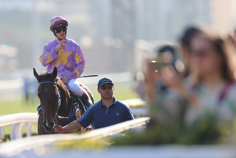 Zac Purton avec Little Paradise, avant les séries classiques des 4ans.