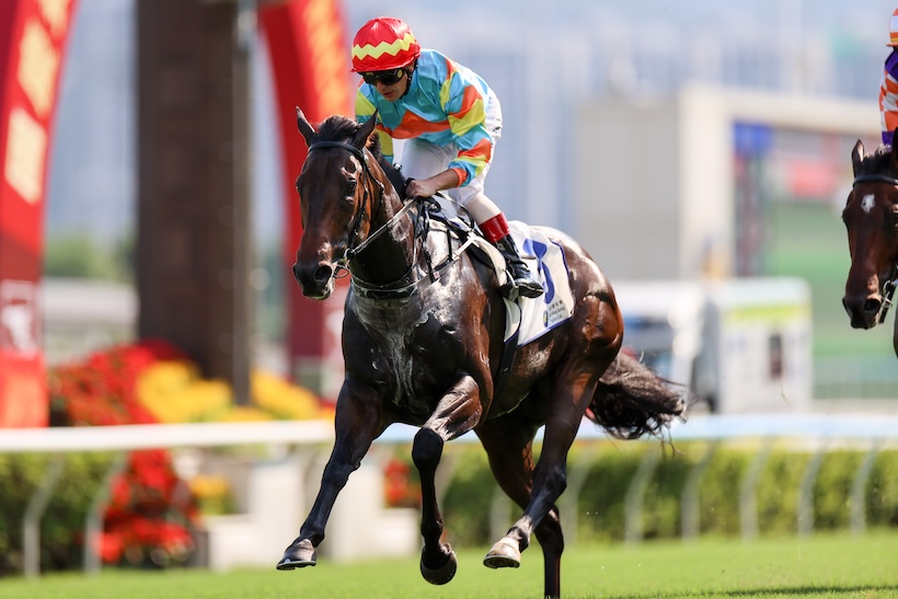 Ka Ying Lightning, une des bonnes impressions de la réunion de la fête nationale chinoise 2026 à Sha Tin.